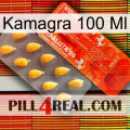 Kamagra 100 Ml new01